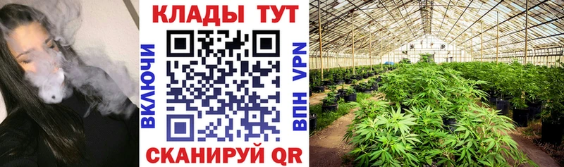 МЕФ Починок