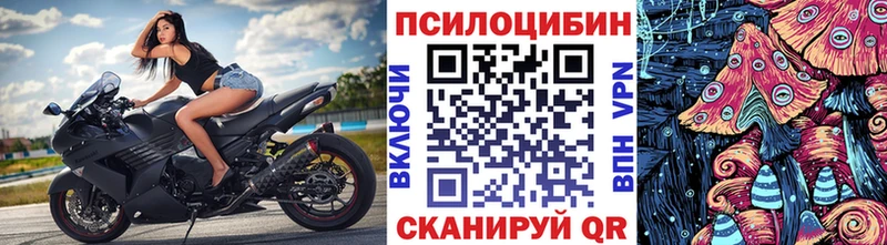 Галлюциногенные грибы Psilocybe  darknet официальный сайт  Починок 